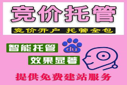 百度竞价广告投放数据分析